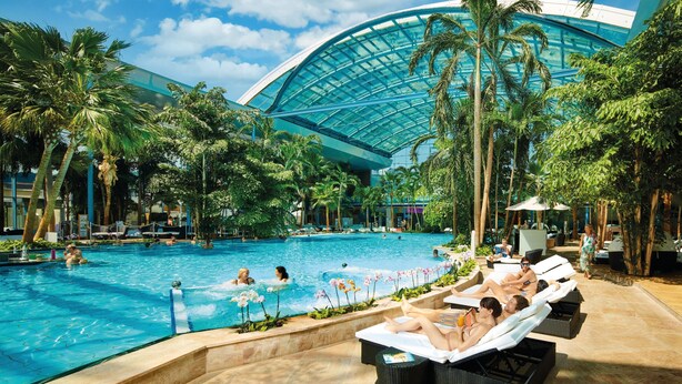 A swimming pool with lounge chairs, palm trees, and a large building with a glass roof.
