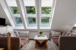 TV, fireplace - Apartment 'Bärental, 42 Qm' with Shared Garden and Wi-Fi (Hinterzarten)