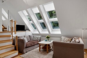 TV, fireplace - Apartment 'Bärental, 42 Qm' with Shared Garden and Wi-Fi (Hinterzarten)