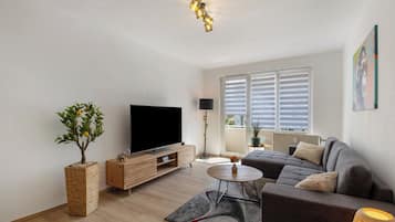 Fernseher