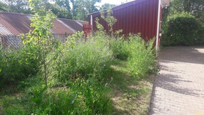 Un'area giardino con diverse piante e un vialetto in mattoni che conduce a un edificio con facciata rossa.