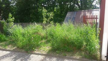 A garden with various plants and a wooden fence.