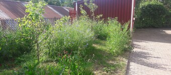Apartment 'Ferienwohnung Ullrich Im Spessart' with Shared Garden, Balcony and Wi-Fi