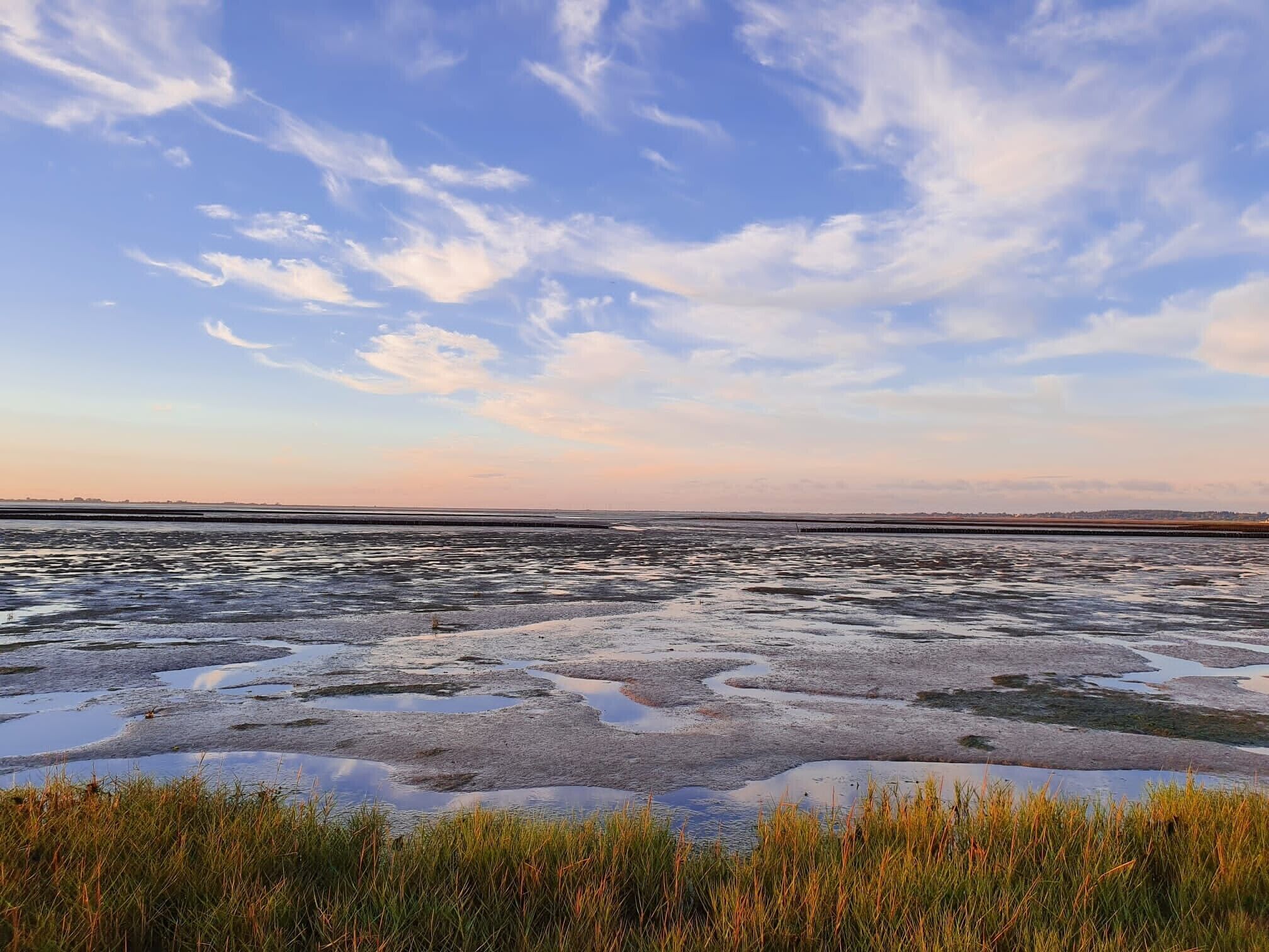 Een vlak landschap met water en gras.