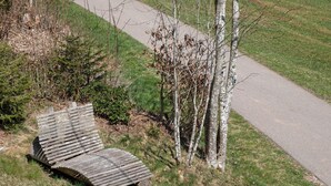A wooden bench in a grassy area with birch trees and a paved path. - 'Gartenblick' Apartment with Mountain View, Private Terrace, and Wi-Fi (Schramberg)