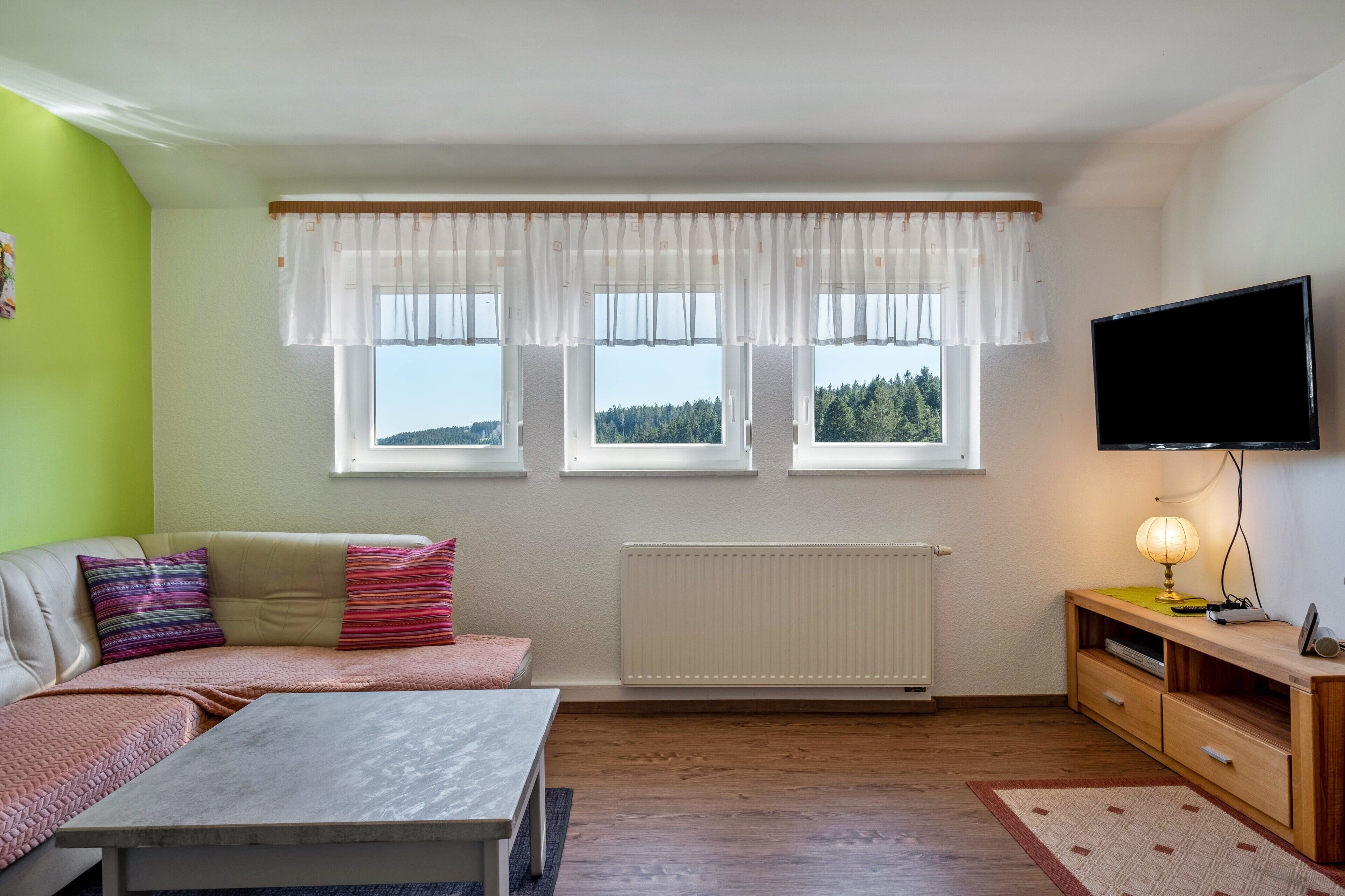 Ein Wohnzimmer mit einer Couch, einem Couchtisch, einem Fernseher, einer Heizung und Fenstern mit Vorhängen.