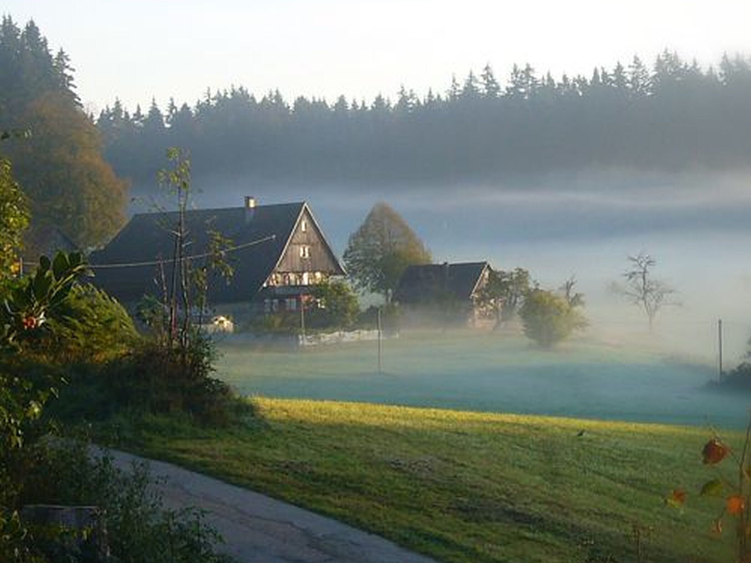 Terrain de l’hébergement 