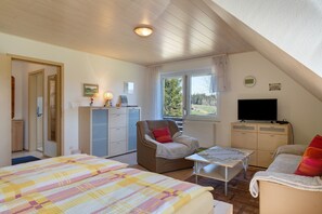 Un dormitorio con una cama, una silla, un escritorio, un televisor y una ventana.