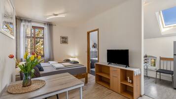 1 dormitorio, wifi gratis, ropa de cama