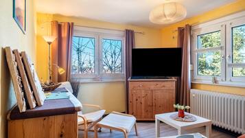 TV, DVD player, stereo