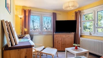 Televisión, reproductor de DVD, estéreo