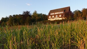 A building with a sign reading 'Pension Waldliesel' in a field with tall grass. - Room 'Doppelzimmer 2 Premium' with Shared Terrace, Shared Garden and Wi-Fi (Dornstetten)