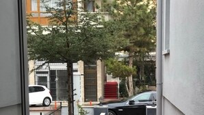 A narrow outdoor corridor with a red carpet, bordered by a low wall, leading to a small garden area with potted plants and a tree. - ÇANKAYA BOUTİQUE HOTEL (Ankara)