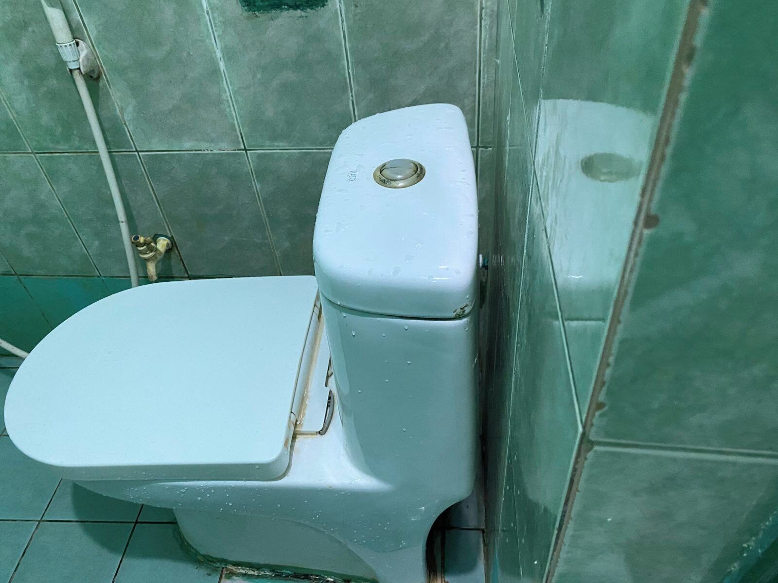Een toilet met een witte zitting en tank, geplaatst tegen een groen betegelde muur.
