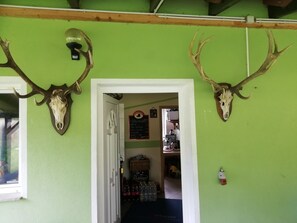 A room with green walls, two mounted deer skulls on the wall, a door leading to a kitchen area, and a window on the left. - Unrented house (Delebäck)