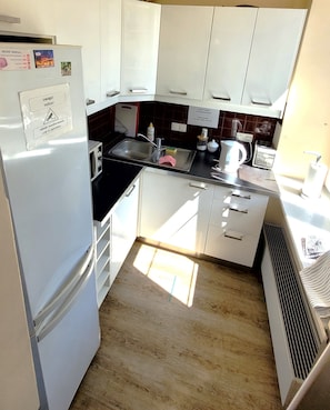 Full-size fridge, microwave, oven, stovetop