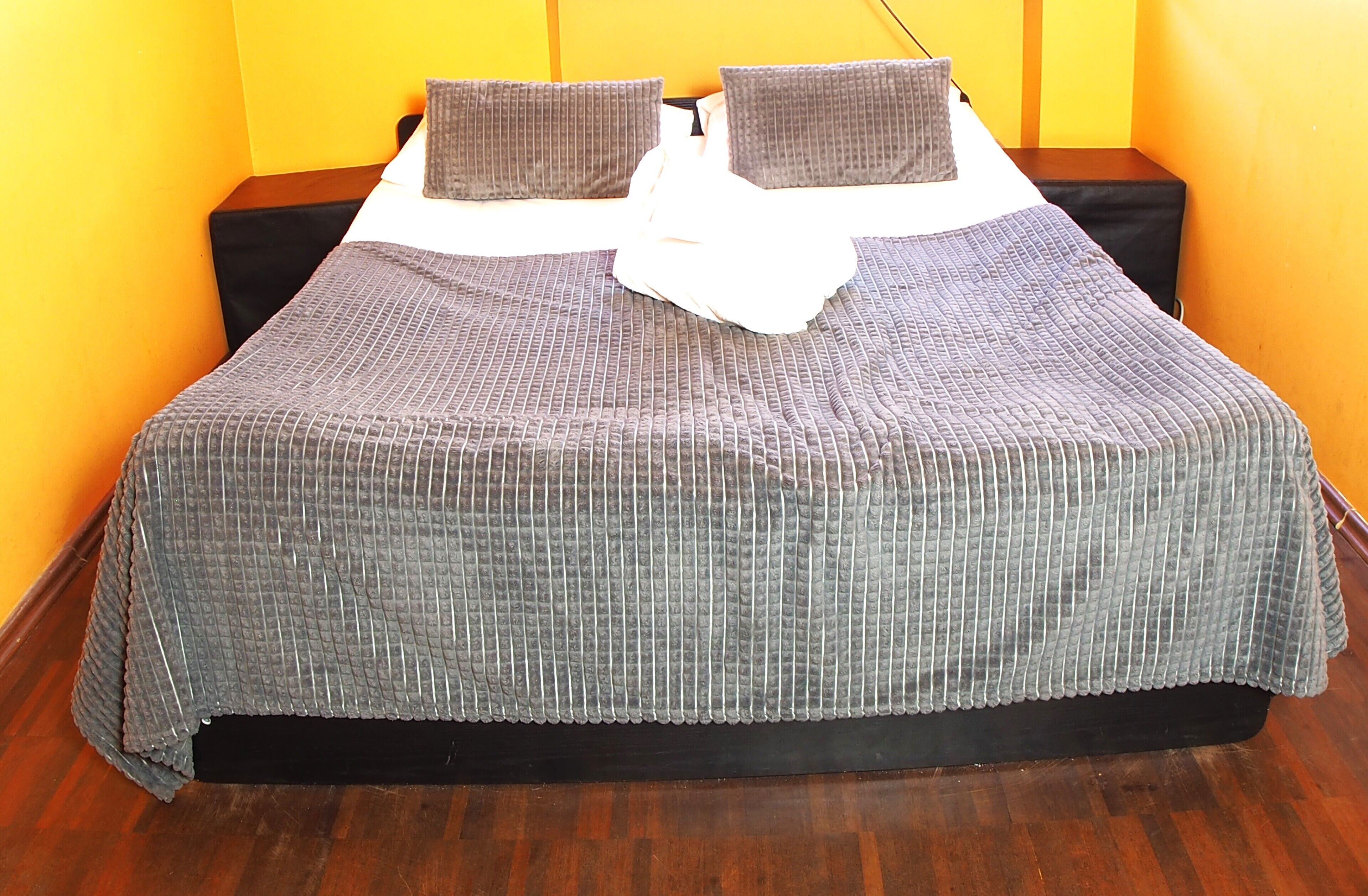 Quarto