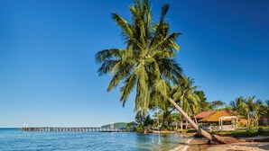 Una playa con una palmera, un muelle y un edificio con techo de paja.