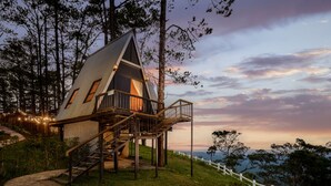Una casa en árbol con una escalera que lleva a un balcón, rodeada de árboles y una valla blanca.