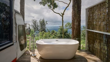 Deluxe Hotel Bus Mountain View | 1 bedroom, desk, iron/ironing board, rollaway beds