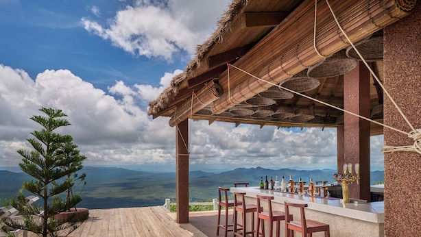 Una barra de madera con vista a las montañas, una planta en maceta y un techo rústico.