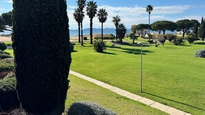 A well-maintained grassy area with a pathway, palm trees, and a view of the sea.