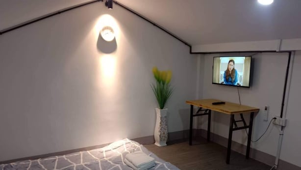 Un dormitorio con una cama, un escritorio, un televisor y una planta en maceta.