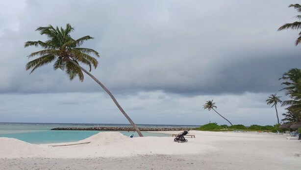 Une plage bordée de palmiers, une rive sablonneuse et un ciel nuageux.