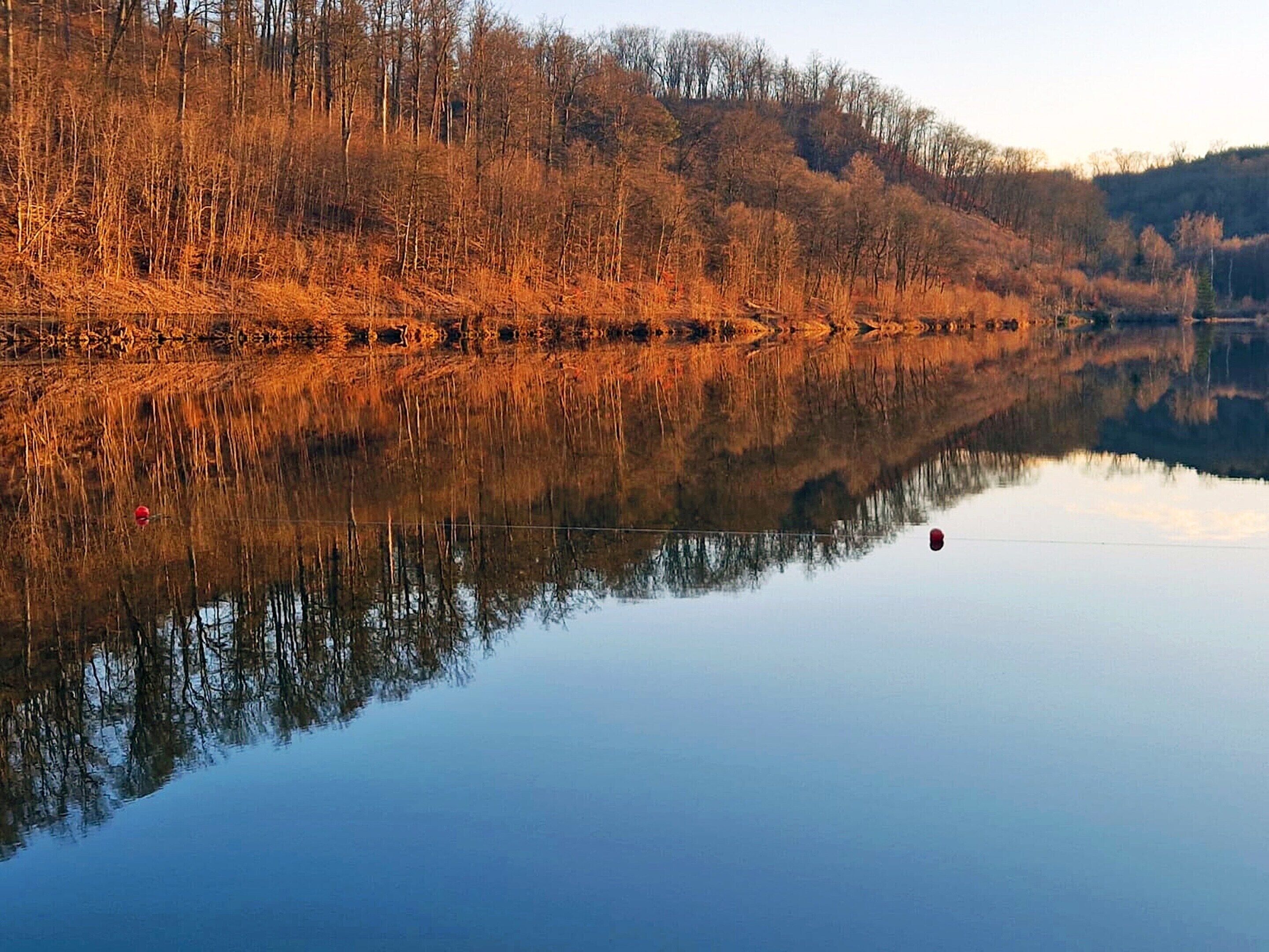 A calm lake reflecting trees and a clear sky.