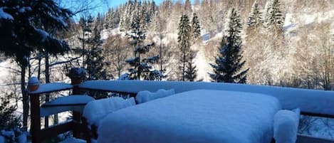 Vista desde la propiedad