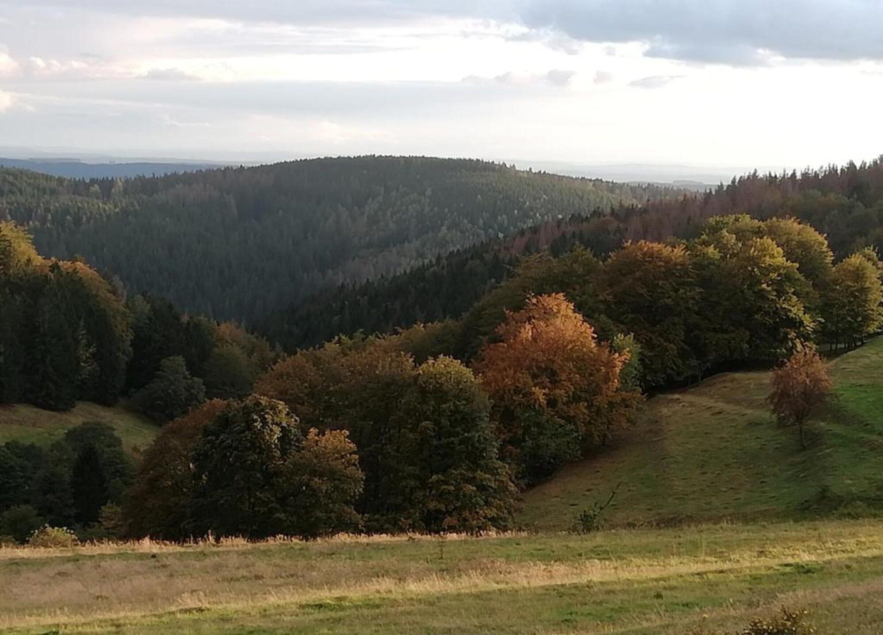 A hilly landscape with dense forests and a clear sky.