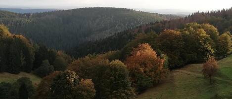 A hilly landscape with dense forests and a clear sky.