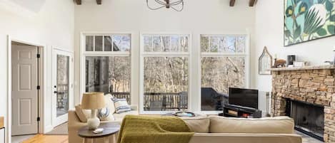 Televisión, chimenea, libros