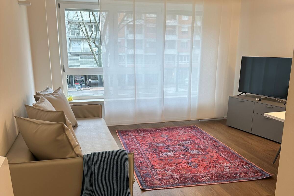 A living room with a sofa, a TV, a rug, and a window with curtains.