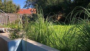 A garden with tall grass and a wooden fence. - Super nice and completely renovated vacation home between Szczecin Lagoon and Usedom (Ducherow)