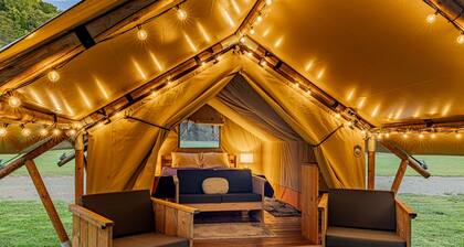 Group Glamping: Luxury Tents Near Gburg and PF