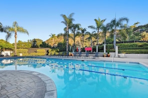 A swimming pool with clear blue water, surrounded by palm trees and a landscaped garden.