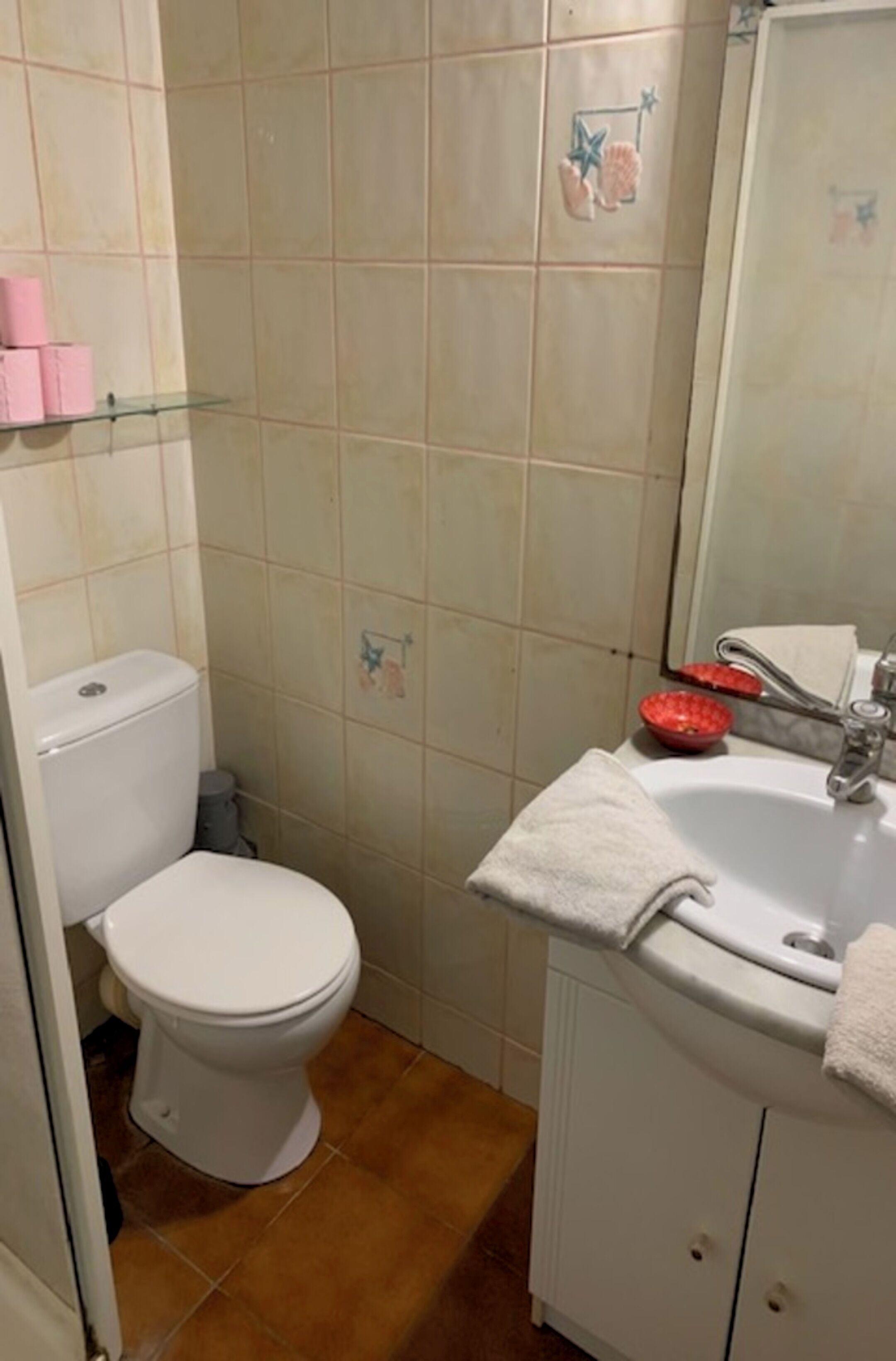 Une salle de bain comprenant des toilettes, un lavabo et un miroir. Le mur est décoré de carreaux et une étagère en verre contient des articles de toilette.