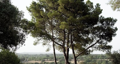 Nepita _ Rural residence