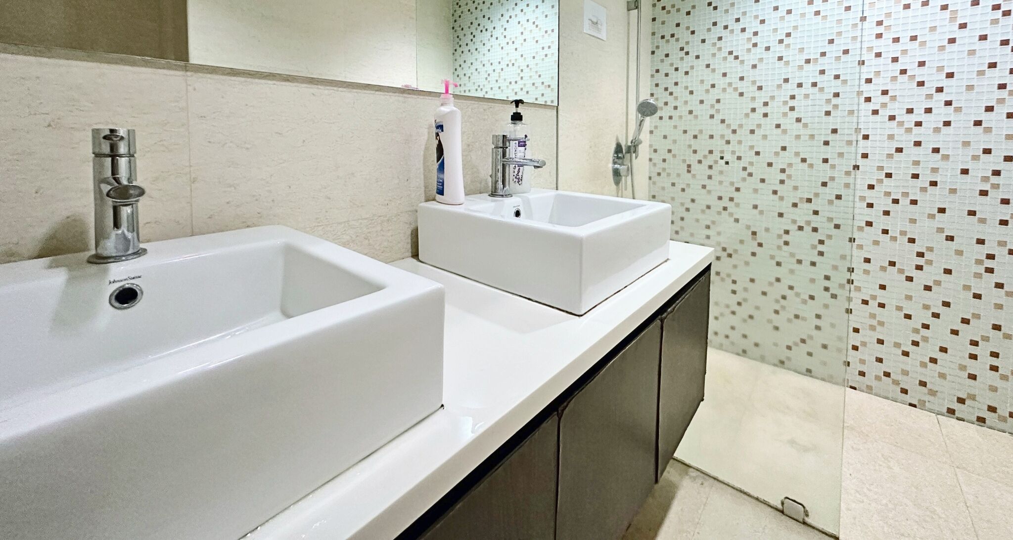 A bathroom with a large white sink, a smaller sink, and a shower area.