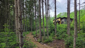 A forested area with a dirt path leading to a cabin. - Spa, Nature & Riverside Escape | Ecureuil Roux (Trois-Rives)