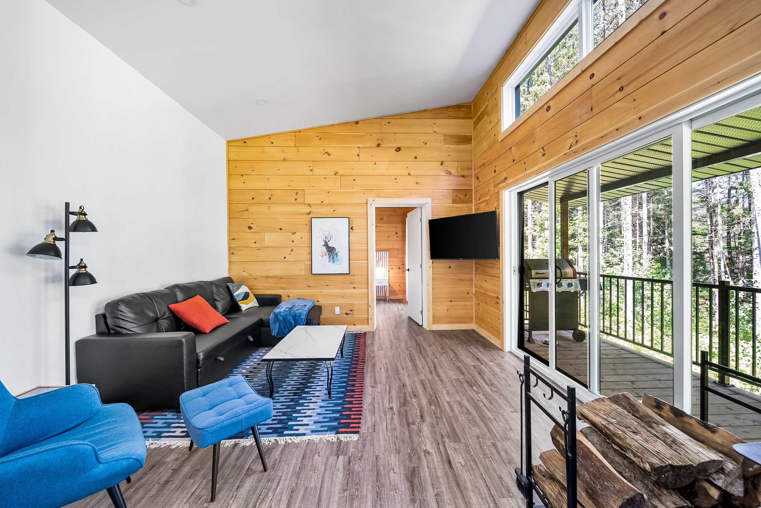 Télévision, cheminée