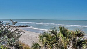 Une plage avec un ciel dégagé, un rivage sablonneux et quelques plantes au premier plan.