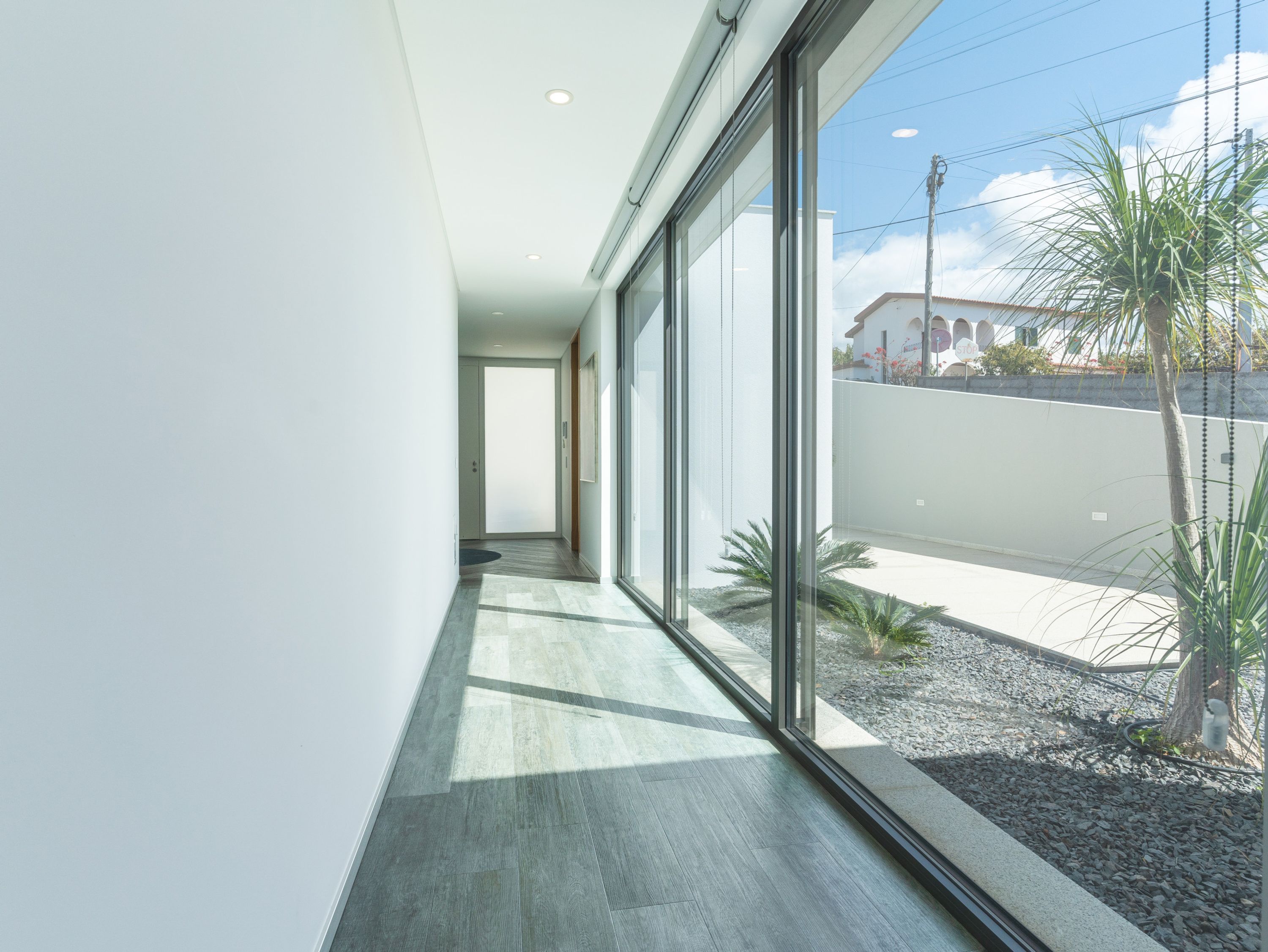 Un couloir moderne avec de grandes fenêtres, un plancher en bois et une vue sur une rue bordée d’un palmier.