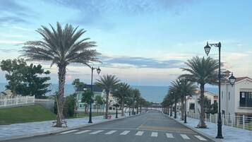 A street lined with palm trees and street lamps, leading towards a body of water.