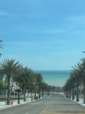 Una strada alberata da palme e illuminata da lampioni, che conduce a una spiaggia.