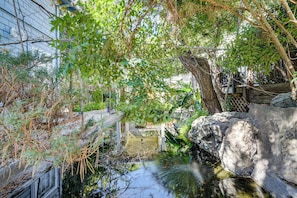 A serene garden with a small pond, surrounded by rocks and lush greenery. - 6 Blocks to Sjsu: Cozy Bungalow w/ Deck & Koi Pond (San Jose)
