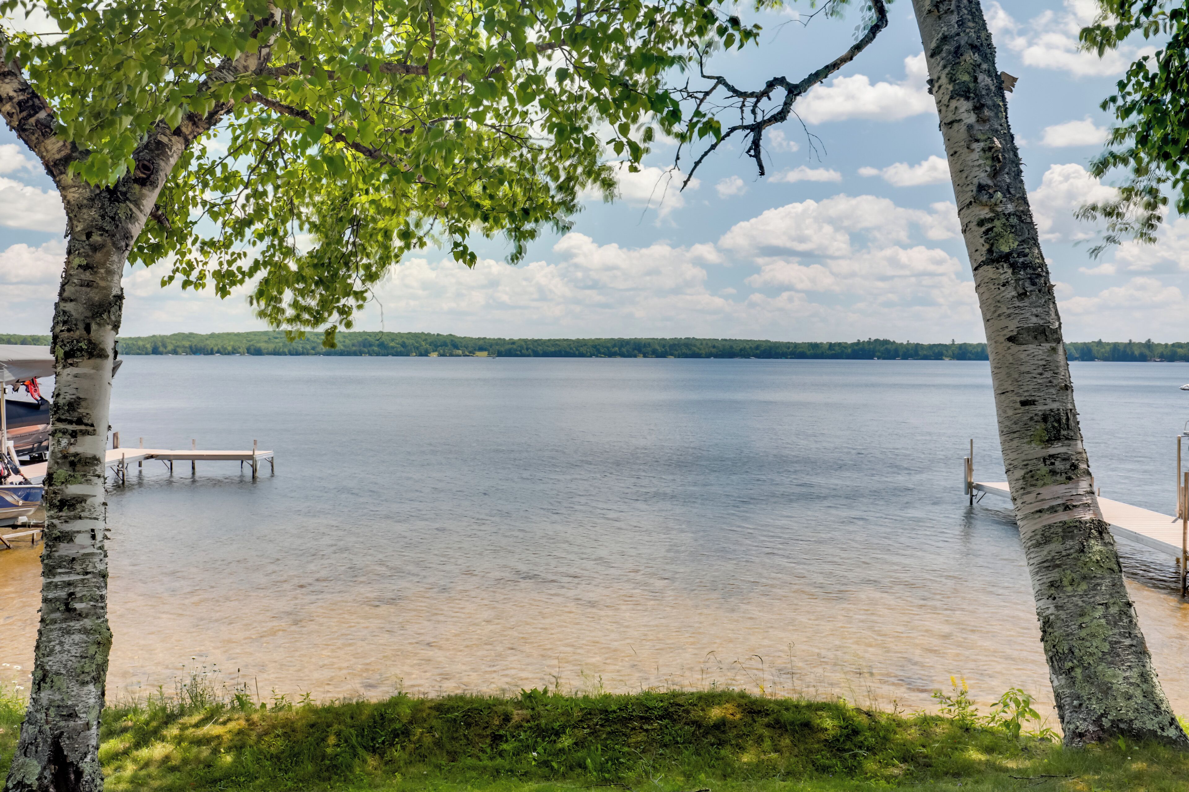 A lakeside view with a dock extending into the water, surrounded by birch trees.