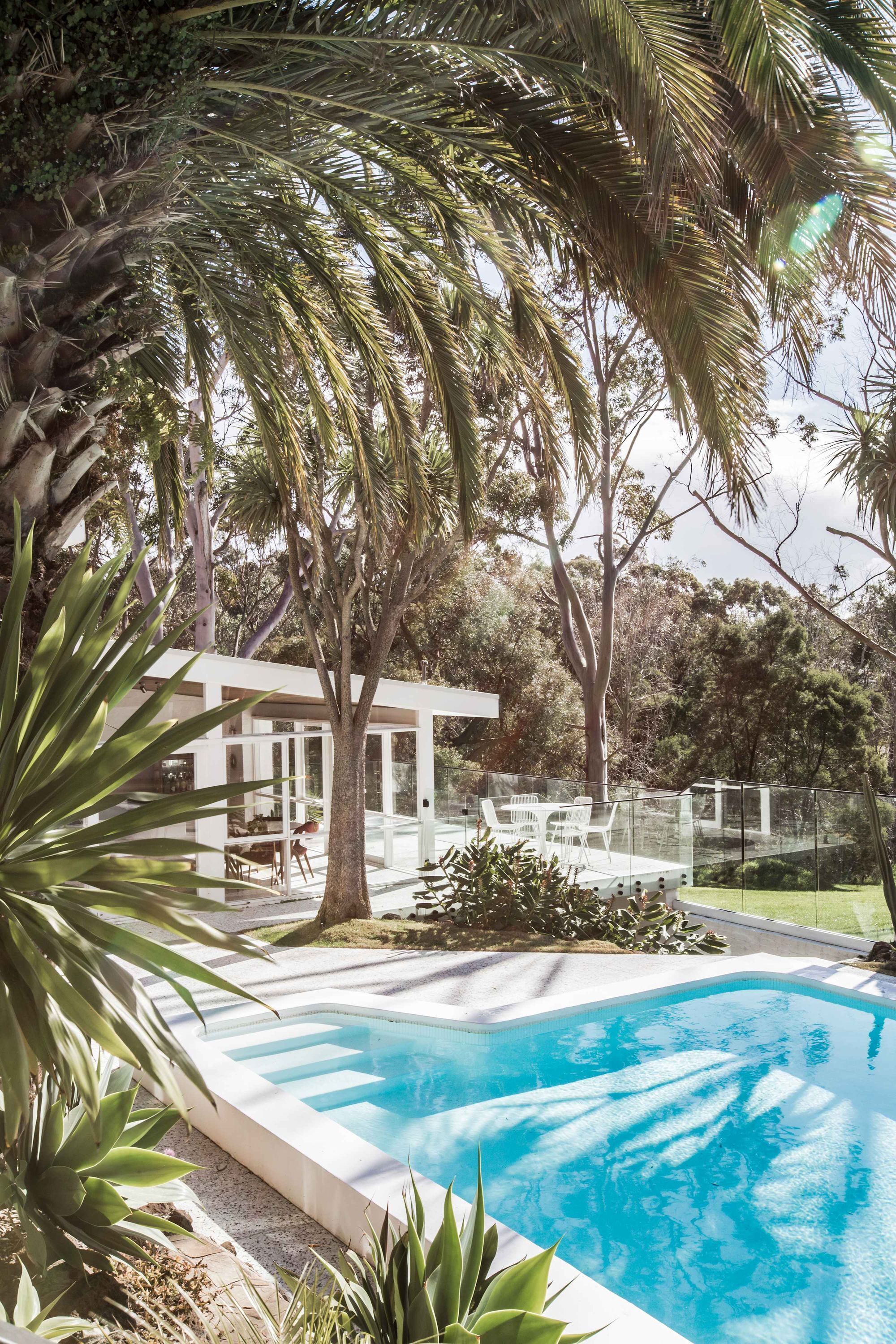 A modern outdoor pool area with a clear blue pool, surrounded by lush greenery and a white building with glass doors.