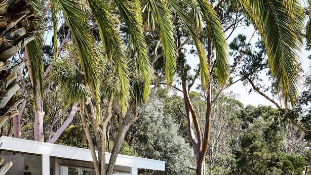 Un área de piscina moderna con una estructura de cristal, rodeada de exuberante vegetación y árboles.